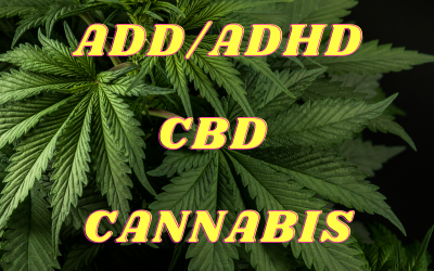 Tratamentul simptomelor ADD/ADHD cu CBD: o alternativa naturala la medicamentele traditionale