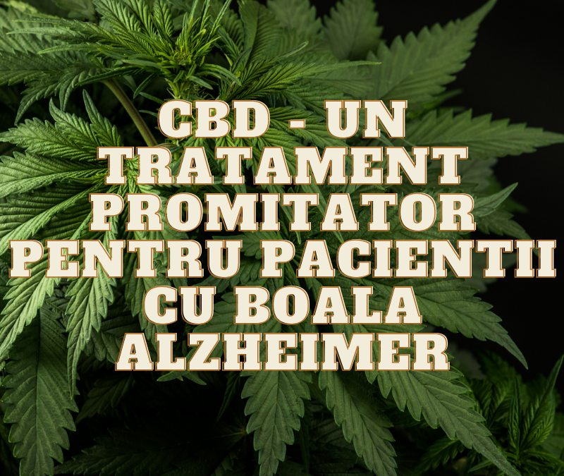 CBD - Un tratament promitator pentru pacientii cu boala Alzheimer