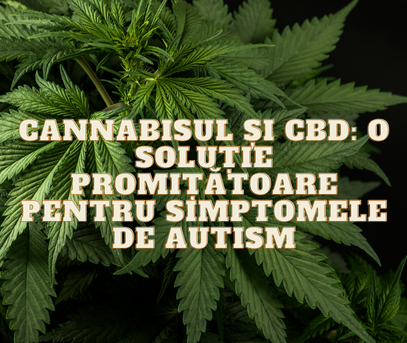 Cannabisul și CBD: o soluție promițătoare pentru simptomele de autism