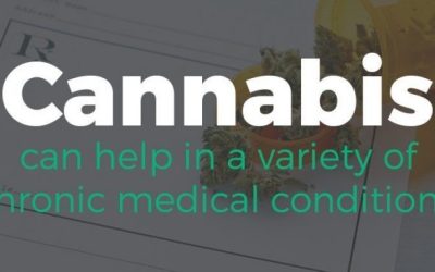 Care este diferența dintre marijuana medicală și cea recreativă?