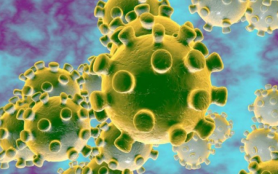 Special Coronavirus – CBD sprijină sistemul imunitar?